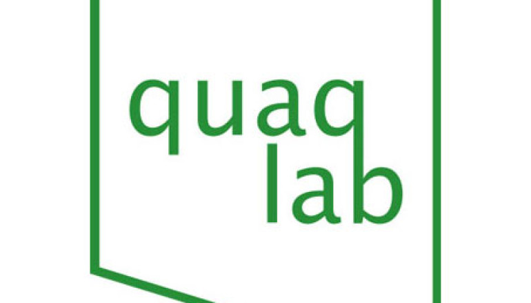 IT-компания QuaqLab LLC